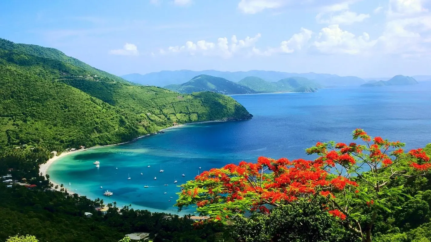 高端绿色